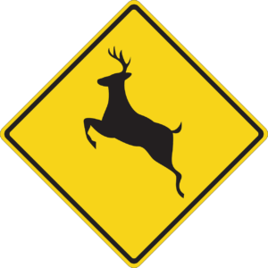 How to lower your risk for a deer collision in Pleasantville, NY