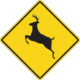 How to lower your risk for a deer collision in Pleasantville, NY