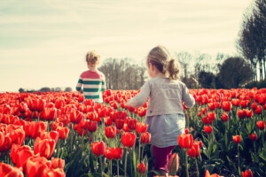 Spring Activities to Consider in Pleasantville, NY