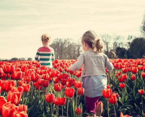 Spring Activities to Consider in Pleasantville, NY