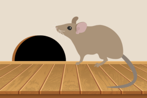 How to prevent rodent damage for your Pleasantville, NY home