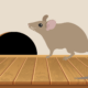 How to prevent rodent damage for your Pleasantville, NY home
